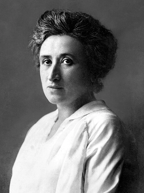 Rosa Luxemburg writing essays advocating for freedom of speech and social change in Europe